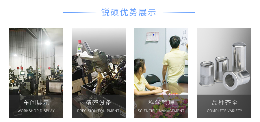 圆盲孔拉铆螺母